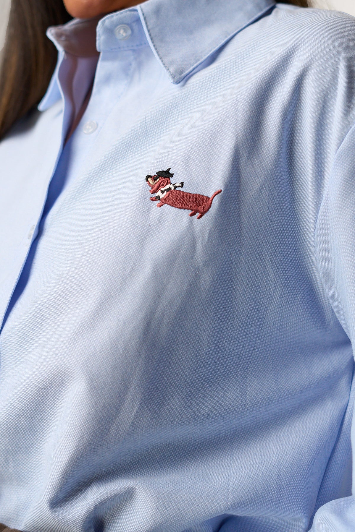 Camicia Bassotto